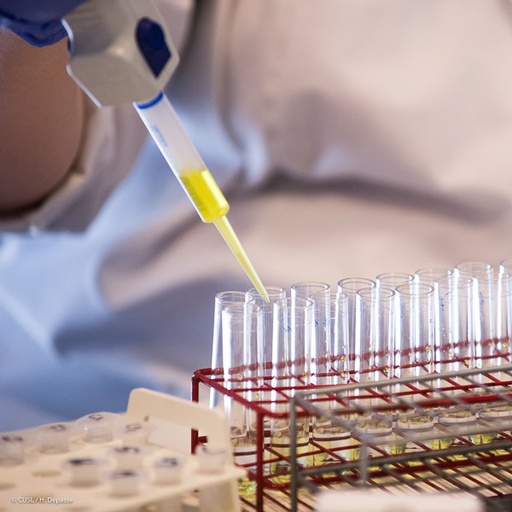 Vers une médecine plus personnalisée pour le cancer du sein métastatique